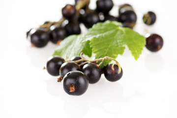 Black currant