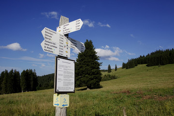 Wegweiser
