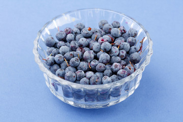 blueberries in the dish
