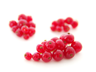 red currants