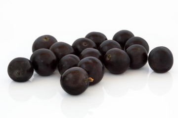 Blueberry Fruit