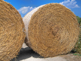 Rolling haystack.
