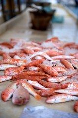 Fish on a stall in Mykonos Greece