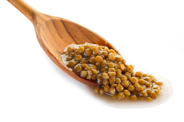 lentils over spoon - lenticchie su cucchiaio