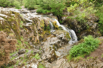 Aira Force