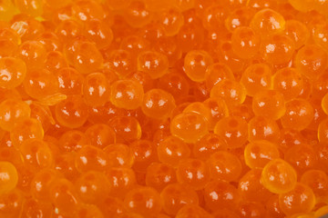 High Quality Red Caviar