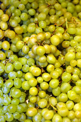 Raisin vert et jaune au Mercat Olivar, Palma de Majorque