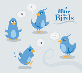 Group of blue little Birds