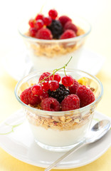 yogurt ,muesli ,berries and honey