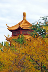 Autumn Pagoda