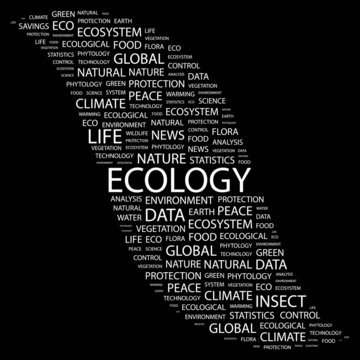 ECOLOGY. Collage with association terms on black background.