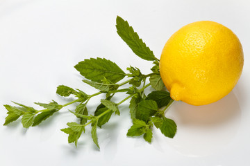 Lemon and lemon balm