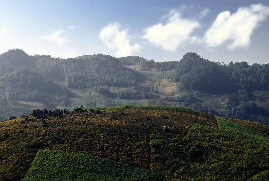 Landscape, Guatemala