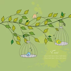 Photo sur Plexiglas Oiseaux en cages Oiseaux sur la branche dans des cages