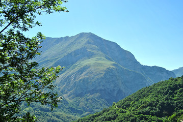 Pico