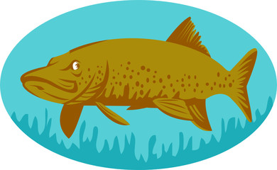 pike or muskie fish