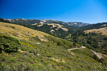 Naklejka premium Ocean coastline landscape with roads on a background.