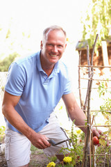 Fototapeta premium Man Relaxing In Garden
