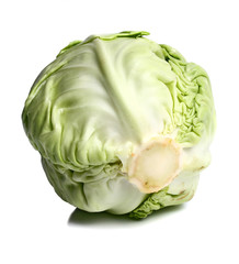 Fototapeta premium cabbage