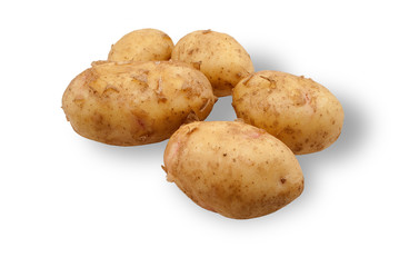 Potato isolated on a white background