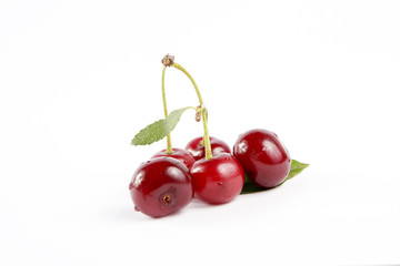 Soure cherries with leaf 3