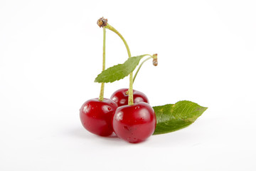 Soure cherries with leaf