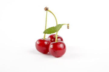 Soure cherries with leaf 2