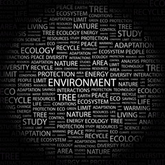 Fototapeta premium ENVIRONMENT. Word collage on black background.
