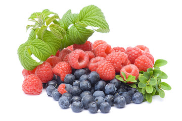 fresh fruits