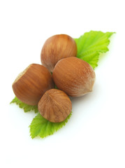 Four ripe wood nuts