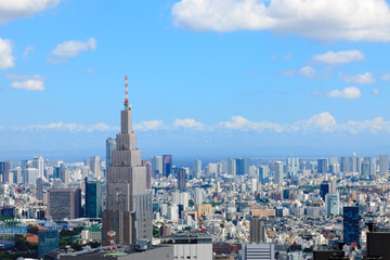 Obraz premium 新宿から遠景（ドコモタワーと品川方面）