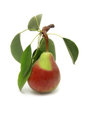 Ripe pear