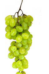 grapes