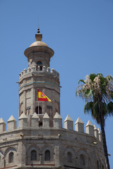 Fototapeta na wymiar Torre del Oro, Sevilla