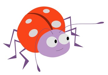 Ladybug