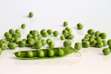 erbsen 18