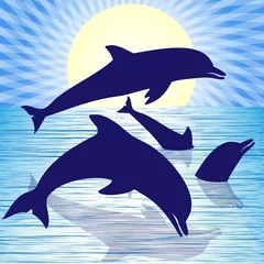 Fotobehang Speelse dolfijnen © Andrija Markovic