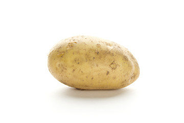 Potato on a white background