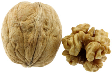 noix, cerneau, fond blanc