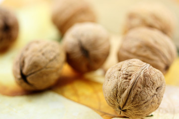 noix et menthe, fond blanc