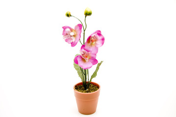 Naklejka na ściany i meble Künstliche Orchidee