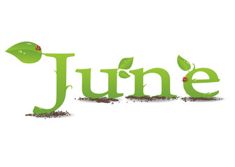 Fototapeta premium june