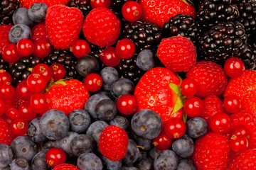 Berry Heaven