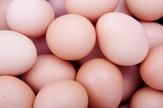 close up abstract eggs background