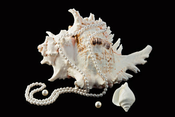 Sea shells and pearls over black background