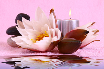 wasser,seerose © Swetlana Wall
