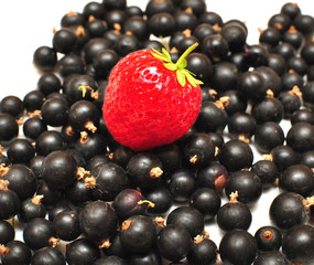 berrys - strawberry, currant