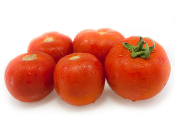 tomatoes