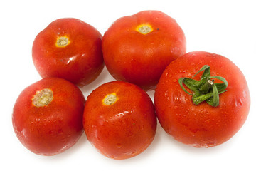 tomatoes isolated