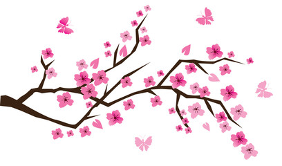 cherry blossom with butterflies